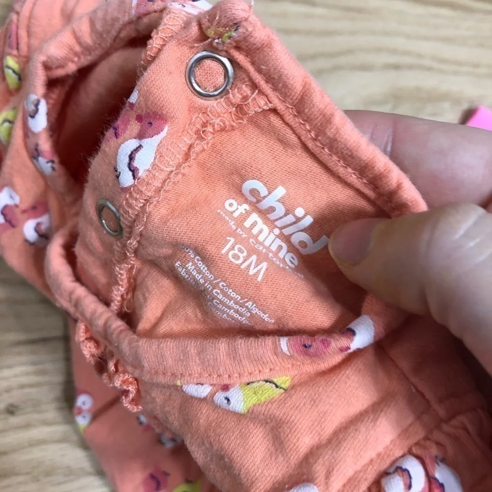 18 month Girls Bundle Tops Onesies Mixed Brands Carter’s
